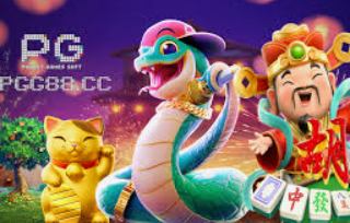 pg软件电脑免费版